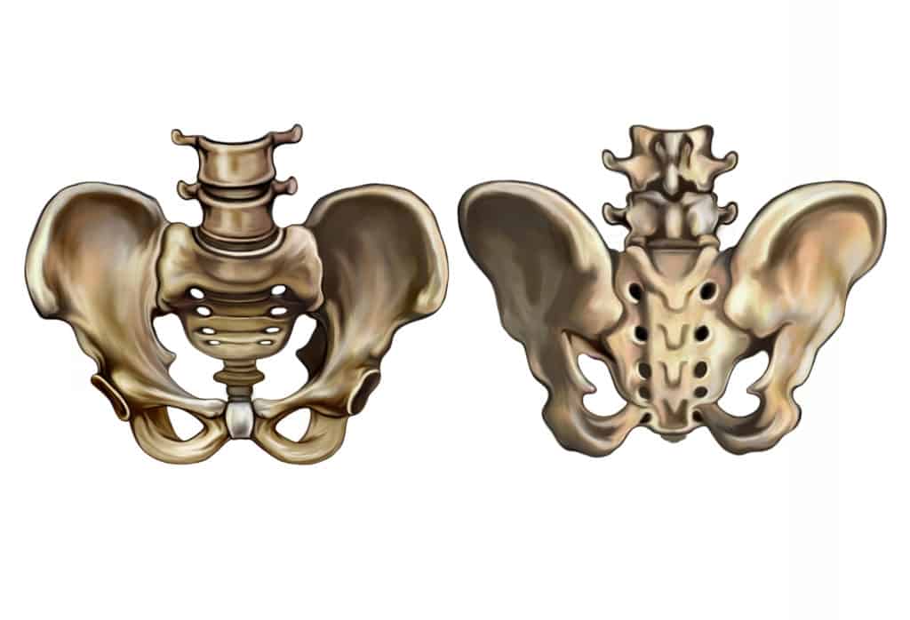 Sacrum joints