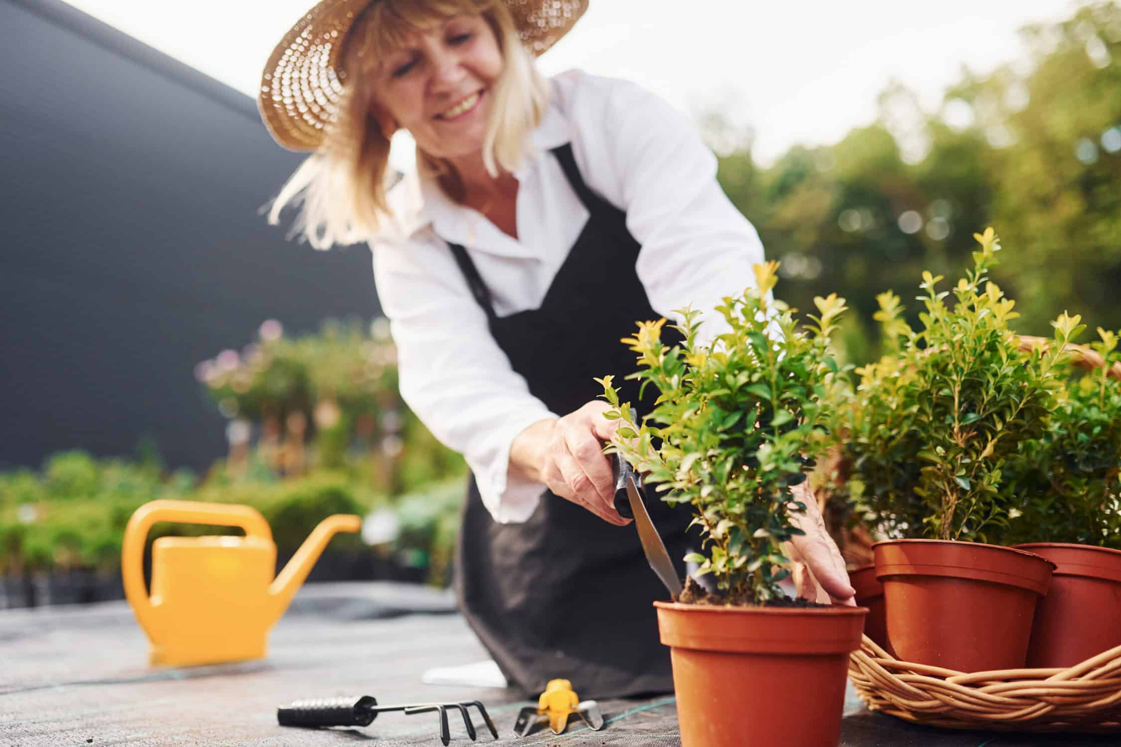 a woman wearing a straw hat and black apron cutting a potted plant having back pain during gardening